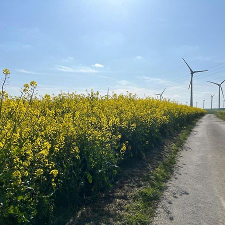 Kaisers Ferienhaus Kaifenheim Dış mekan fotoğraf
